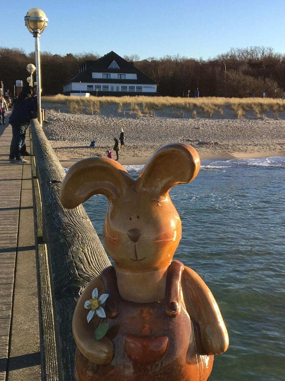 Hotel Ostseewoge Graal-Mueritz Buitenkant foto